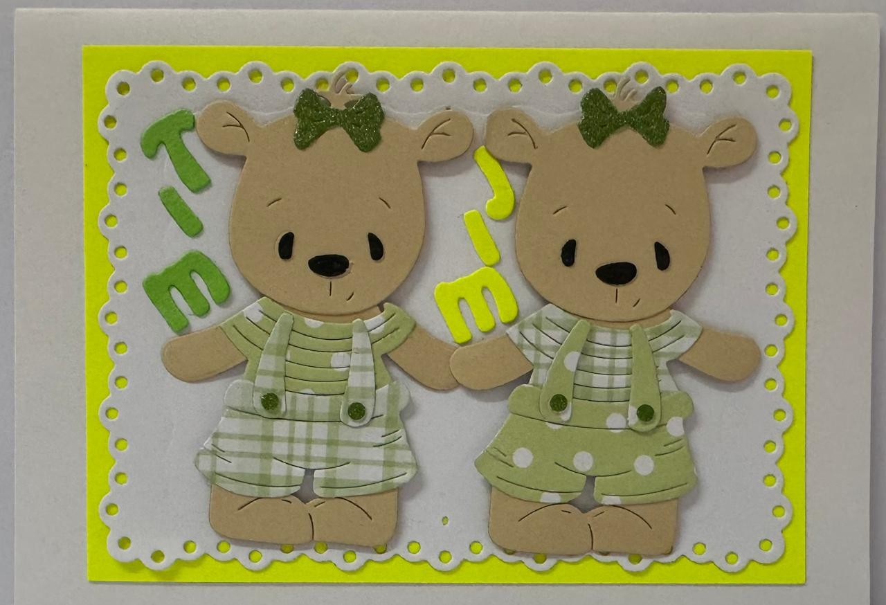 Baby Boy Twins