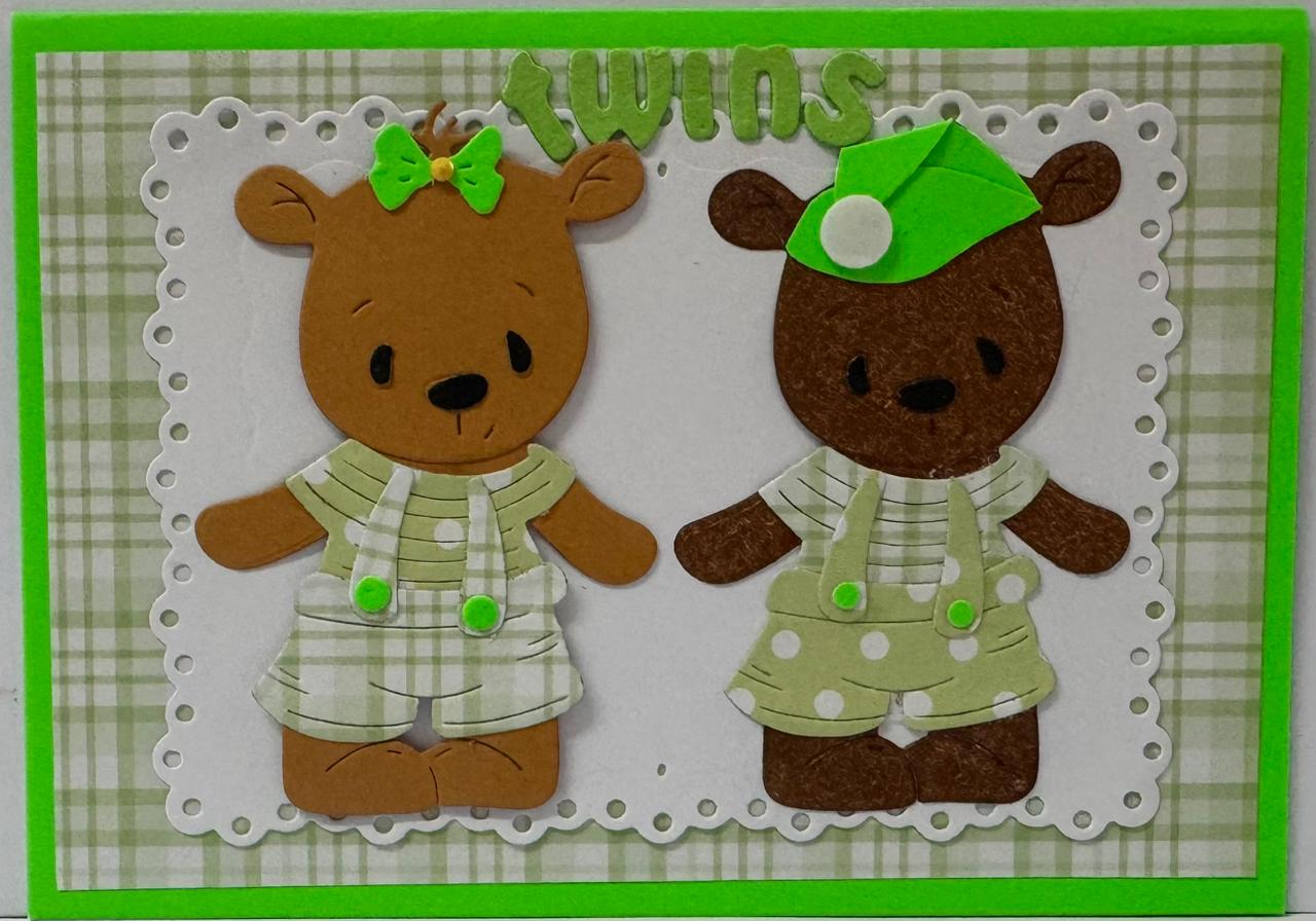 Baby Boy Twins