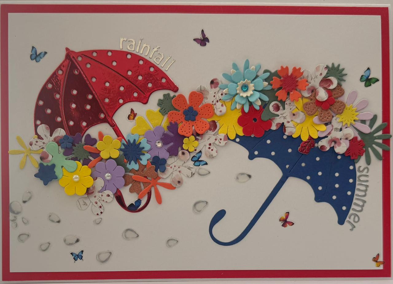 Summer Rainfall A5