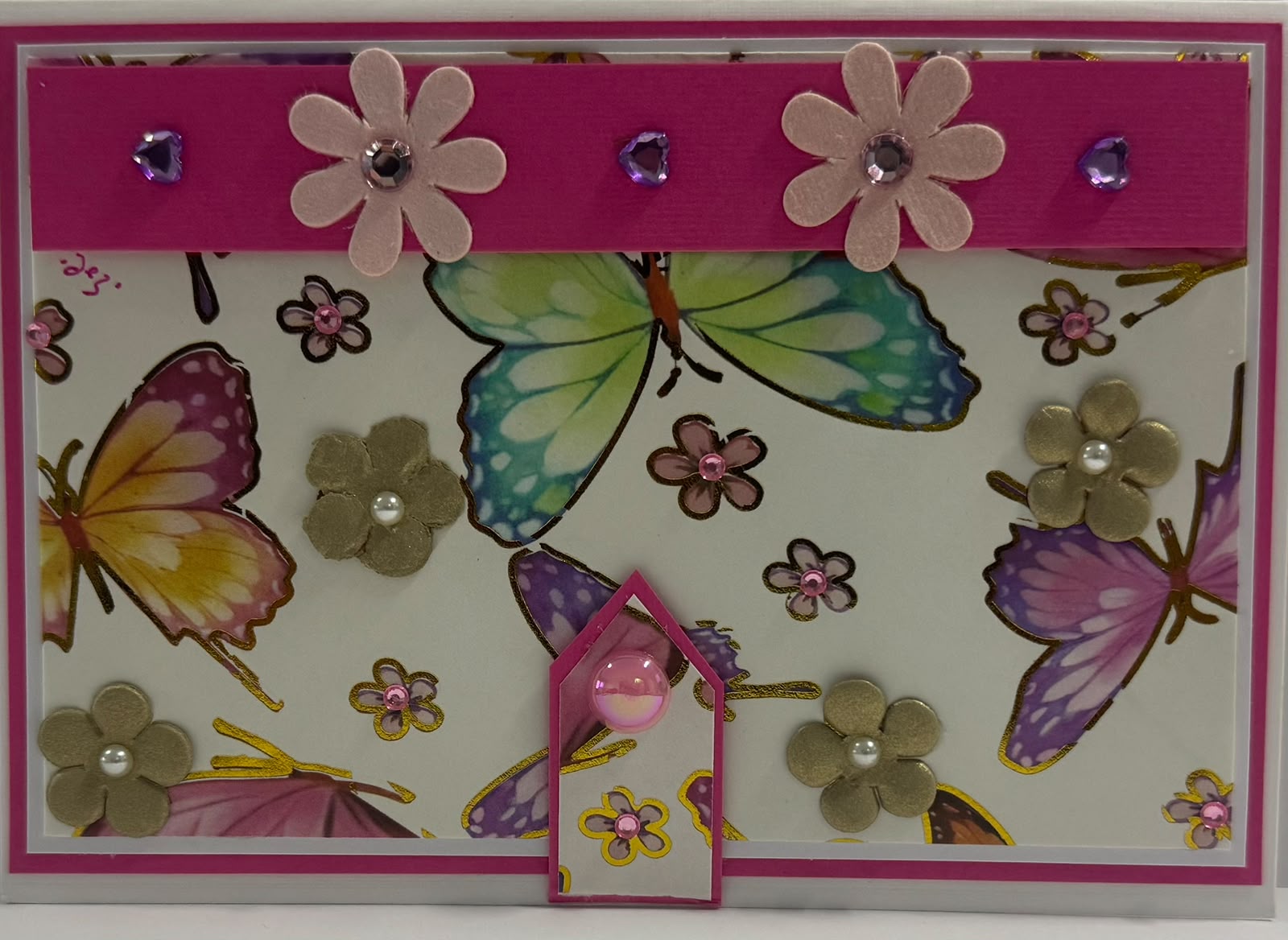 Butterfly Book